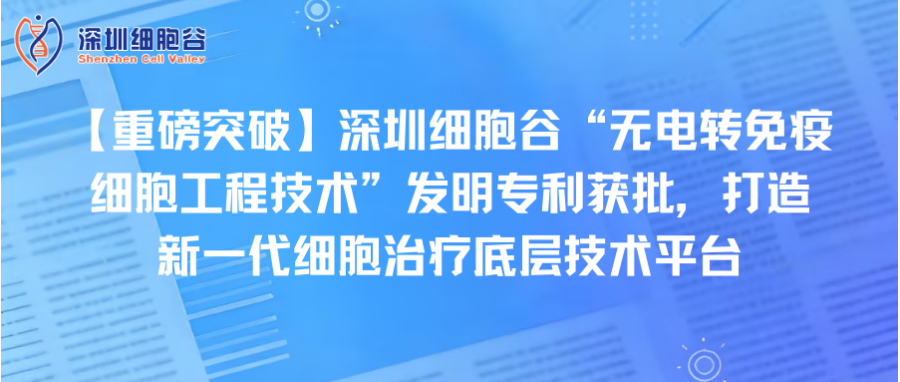 【重磅突破】深圳K8凯发(中国)“无电转免疫细胞工程技术”发明专利获批，打造新一代细胞治疗底层技术平台
