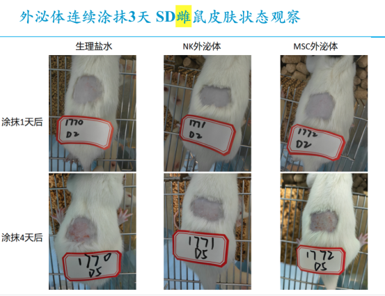 1774259288.png 图片.png