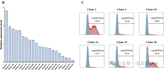 1774517096.png 图片.png