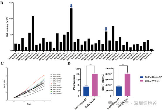 1774517202.png 图片.png