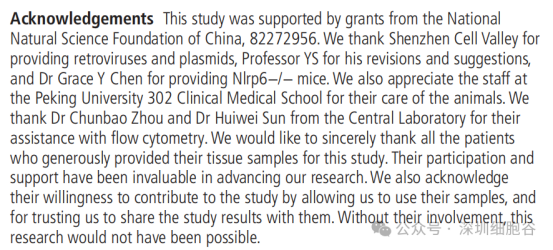 1774517676.png 图片.png