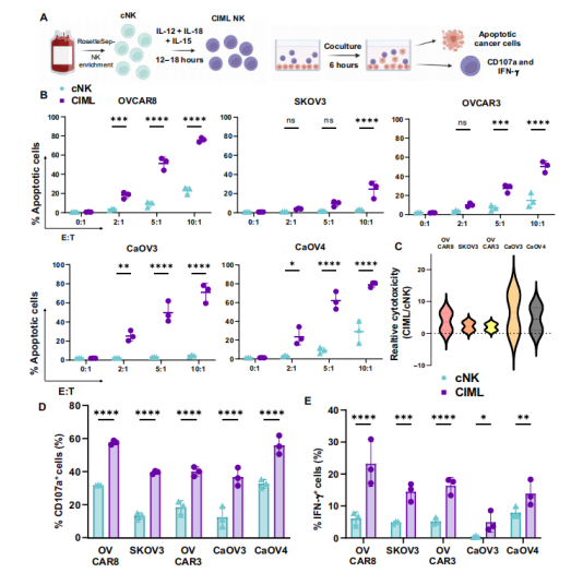 1775812817.png 图片.png