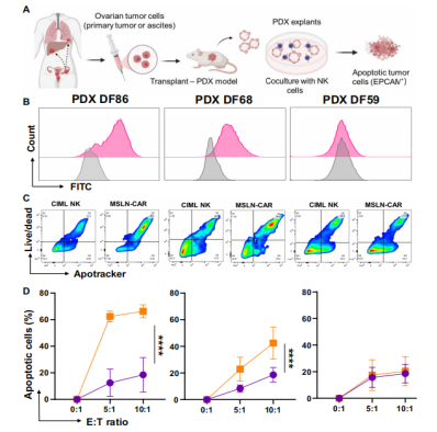 1775812857.png 图片.png
