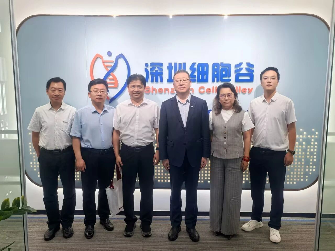 中国医药董事长杨光一行到访深圳K8凯发(中国)考察研讨